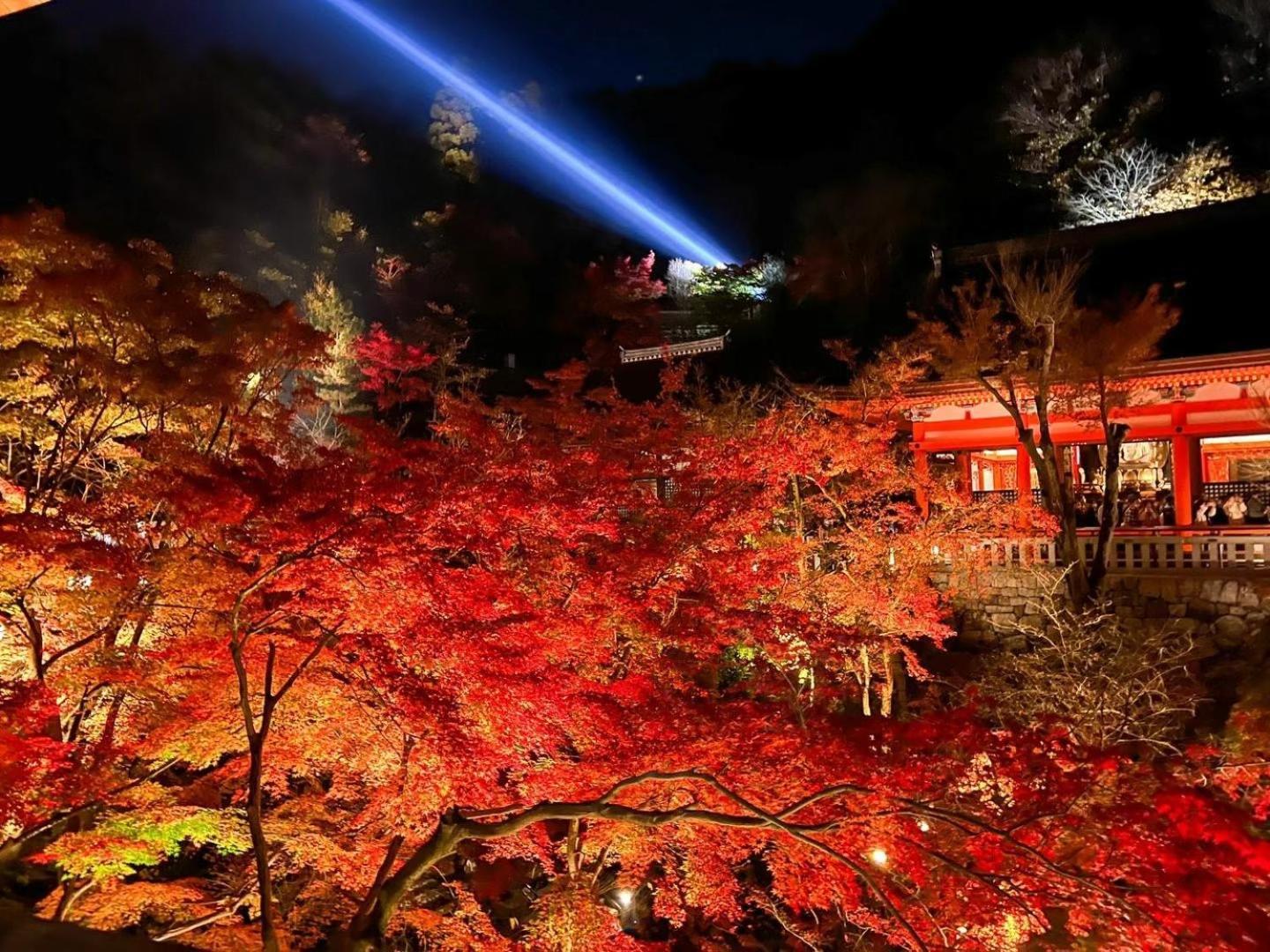 Rinn Kiyomizu Gion Kyoto Buitenkant foto